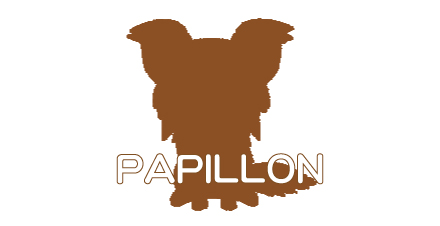 ペットショップで
良く目にする小型犬のパピヨン