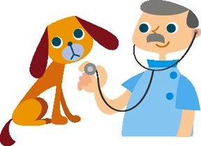 犬の健康管理
